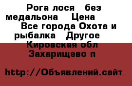 Рога лося , без медальона. › Цена ­ 15 000 - Все города Охота и рыбалка » Другое   . Кировская обл.,Захарищево п.